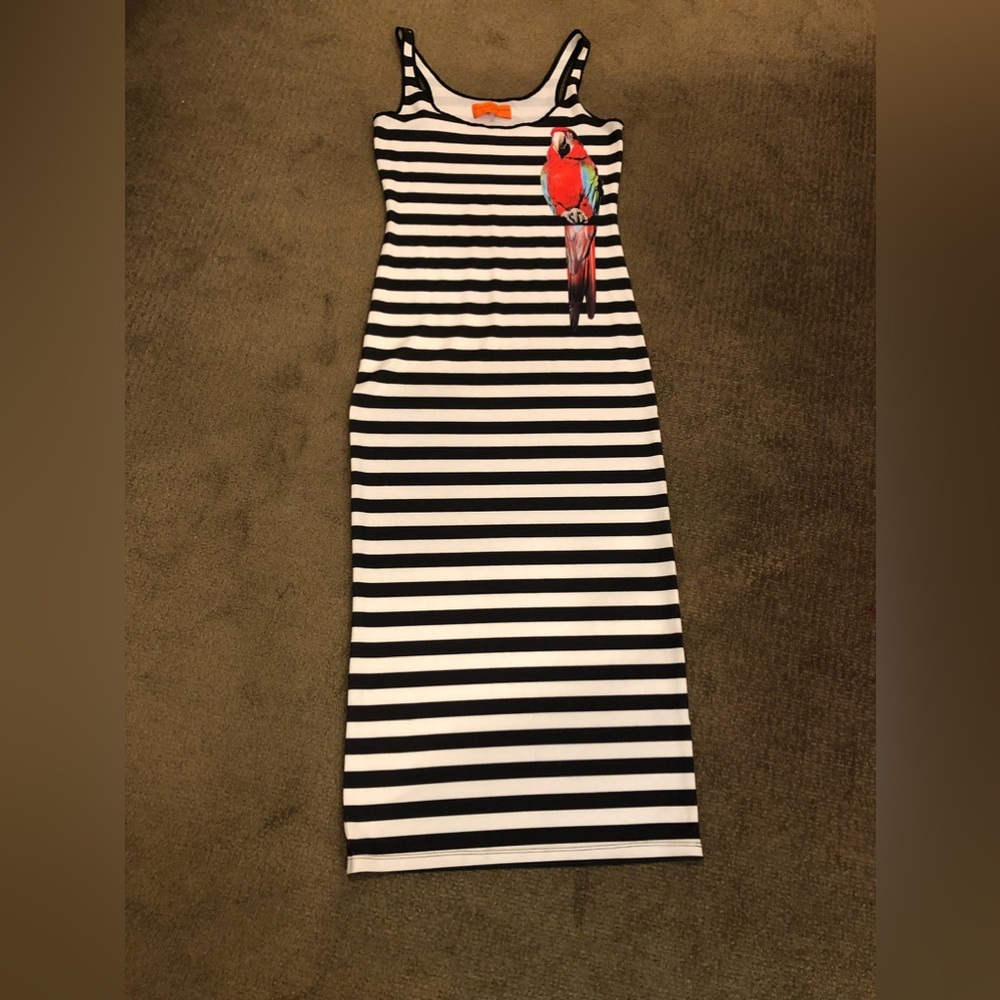 Clover canyon tank dress